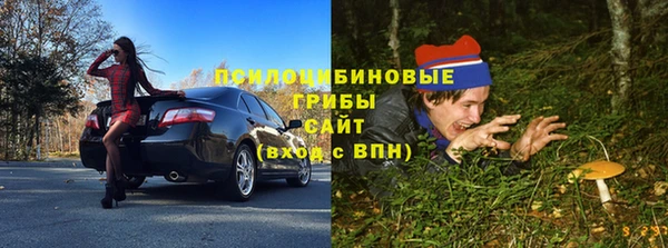прущая мука Богородицк