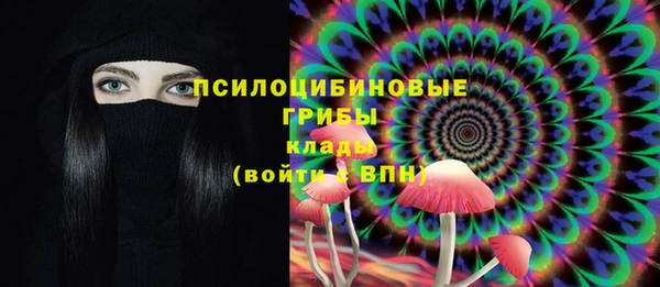бошки Богородск