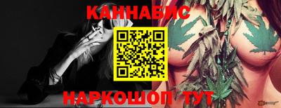 трава Сланцы