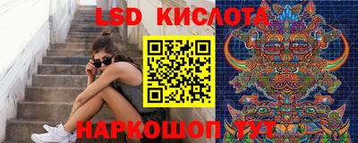 сатива Славгород