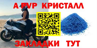 трава Сланцы