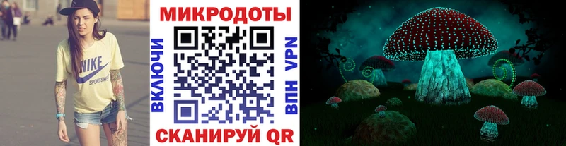 Галлюциногенные грибы MAGIC MUSHROOMS Сланцы