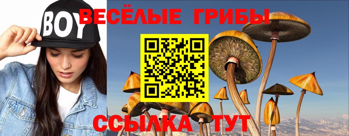 Сланцы  Галлюциногенные грибы мицелий  Вход с VPN 